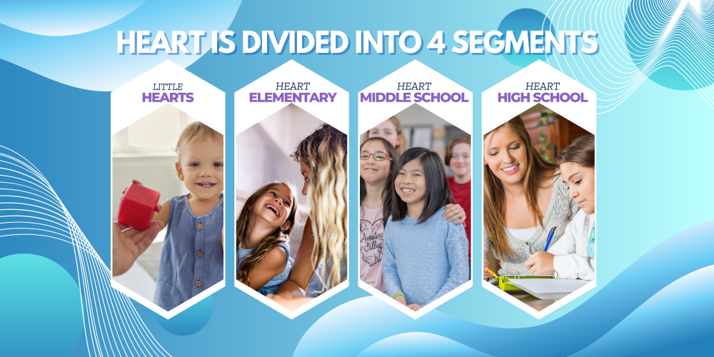 Divided Segments Card